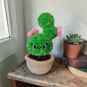 🌵✨ Cactus au Crochet en Laine Chenille 💚